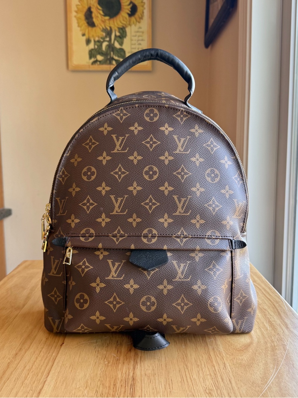 Louis Vuitton Monogram Palm Springs MM Backpack